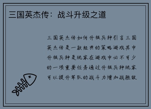 三国英杰传：战斗升级之道